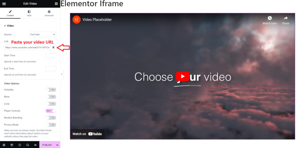 Paste your video URL